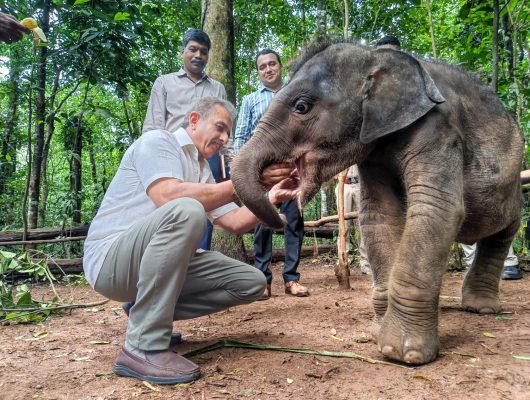 MoS KV Singh Visits Elephant Rehabilitation Centre in Kerala