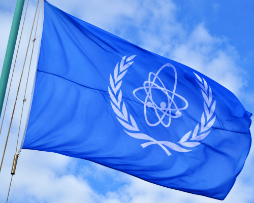 IAEA Monitors Mine-Clearing Near Zaporizhzhya Nuclear Plant to Facilitate Critical Power Line Repairs