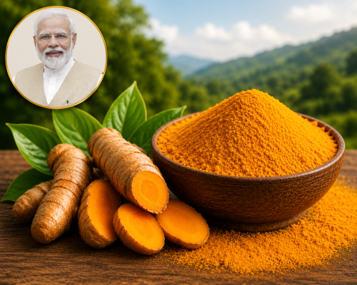 PM Modi Highlights Meghalaya's Lakadong Turmeric at G7 Summit