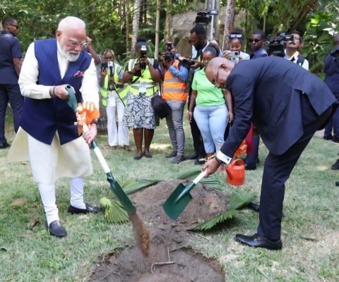 PM Modi Plants Coco de Mer Palm in Seychelles
