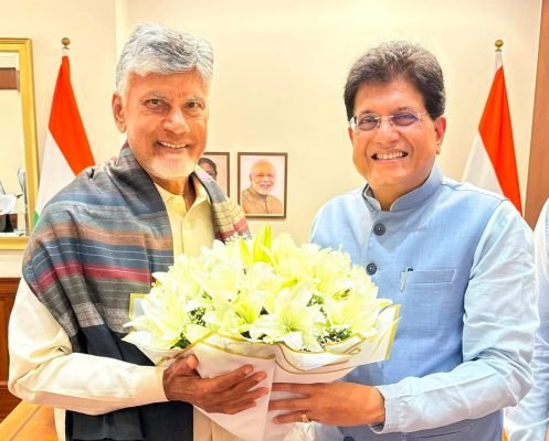 Piyush Goyal Reviews Andhra Pradesh's Growth Priorities With Chandrababu Naidu