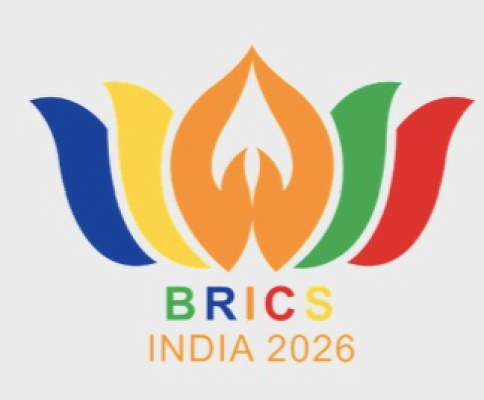 BRICS: Building for Resilience, Innovation and Sustainability