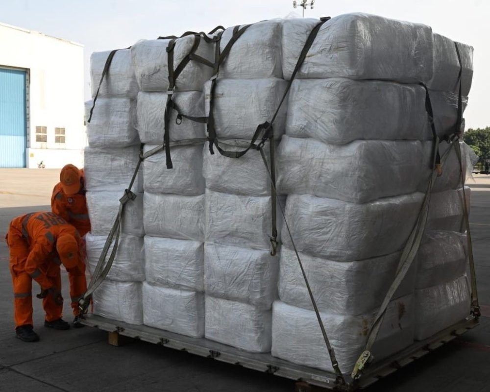 India Sends Relief Material to Nepal: Jaishankar