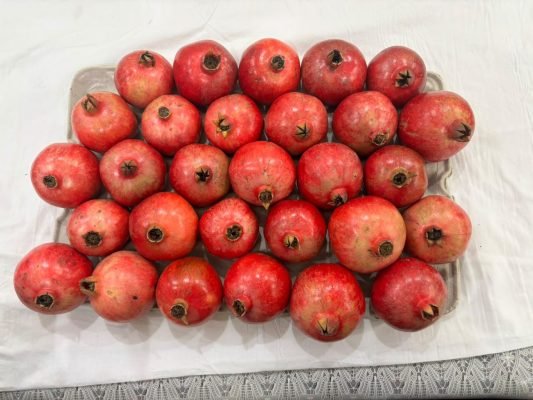 Kullu’s Sinduri Pomegranates Make Their Way to Dubai