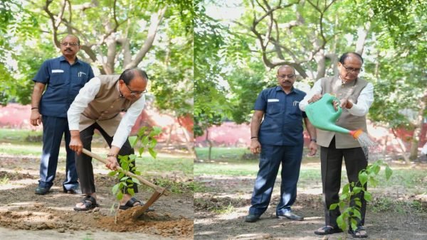 Shivraj Singh Chouhan Plants Sapling in New Delhi