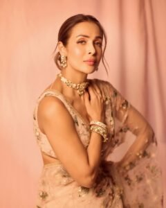 Malaika Arora in Sheer Saree: A Masterclass in Modern Sensuality and Timeless Elegance