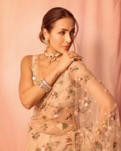 Malaika Arora in Sheer Saree: A Masterclass in Modern Sensuality and Timeless Elegance