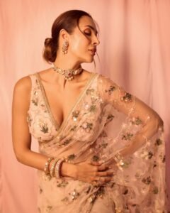 Malaika Arora in Sheer Saree: A Masterclass in Modern Sensuality and Timeless Elegance