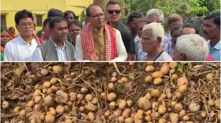 Potato Farmers in Bengal Face Heavy Losses; Shivraj Singh Chouhan Assures Support Amid Crisis